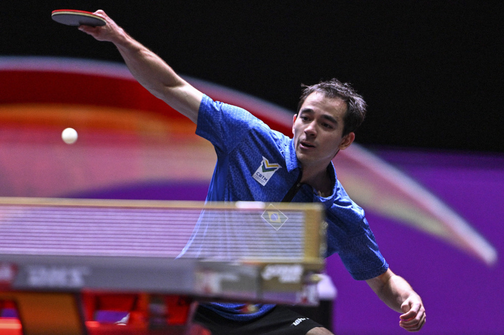 证明了自己 证明了自己