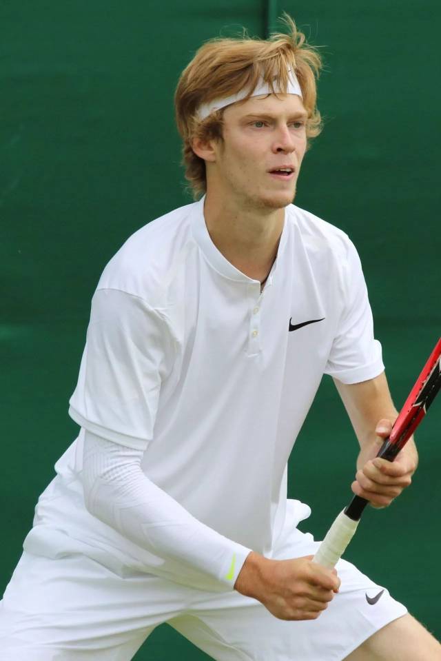 再次捧起了 再次捧起了